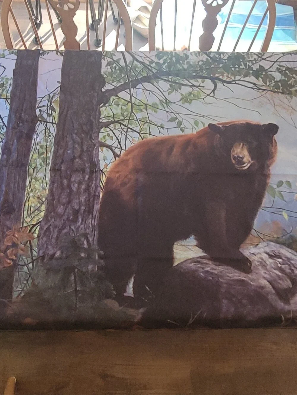 Bear aesthetic rustic farmhouse art decor wall hanging or table cover tapestry.